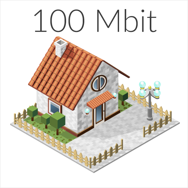 Fiber 100 Mbit