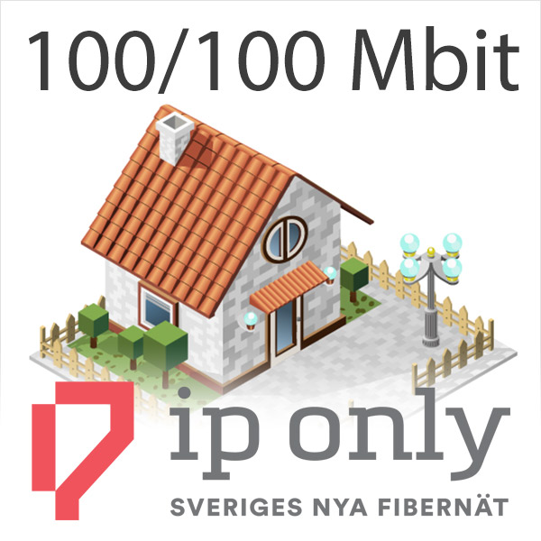 Fiber Ip Only 100/100 Mbit